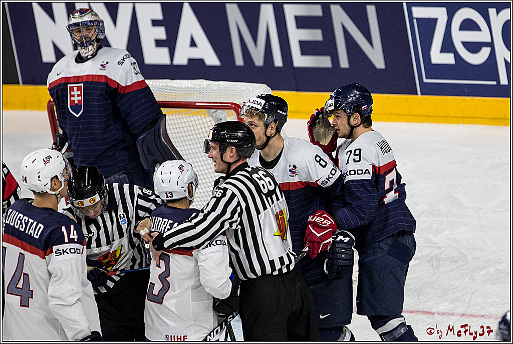 IIHF WM 2017, Slowakei - USA, 14.05.2017